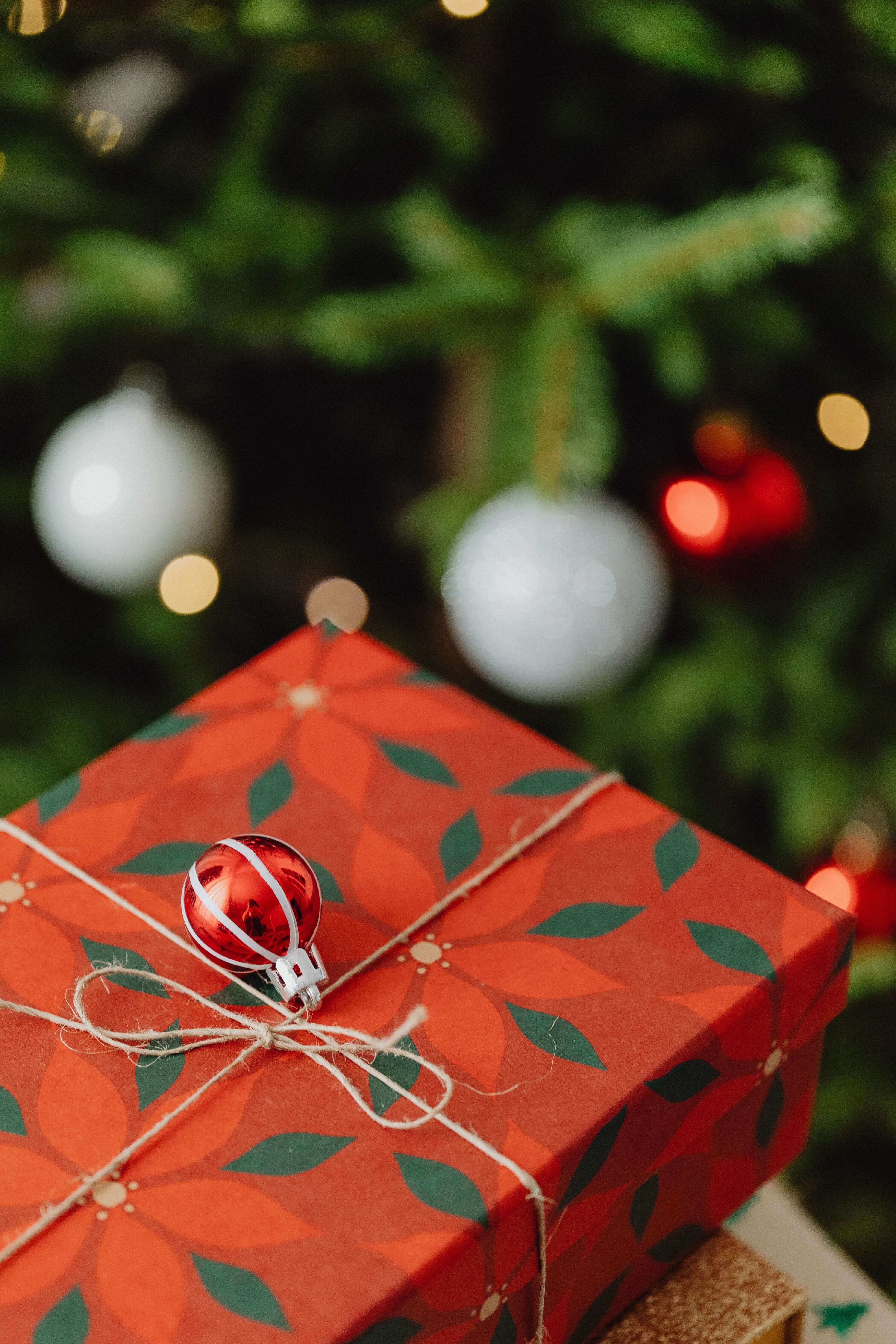 Ame la coloree - Cadeau de Noel