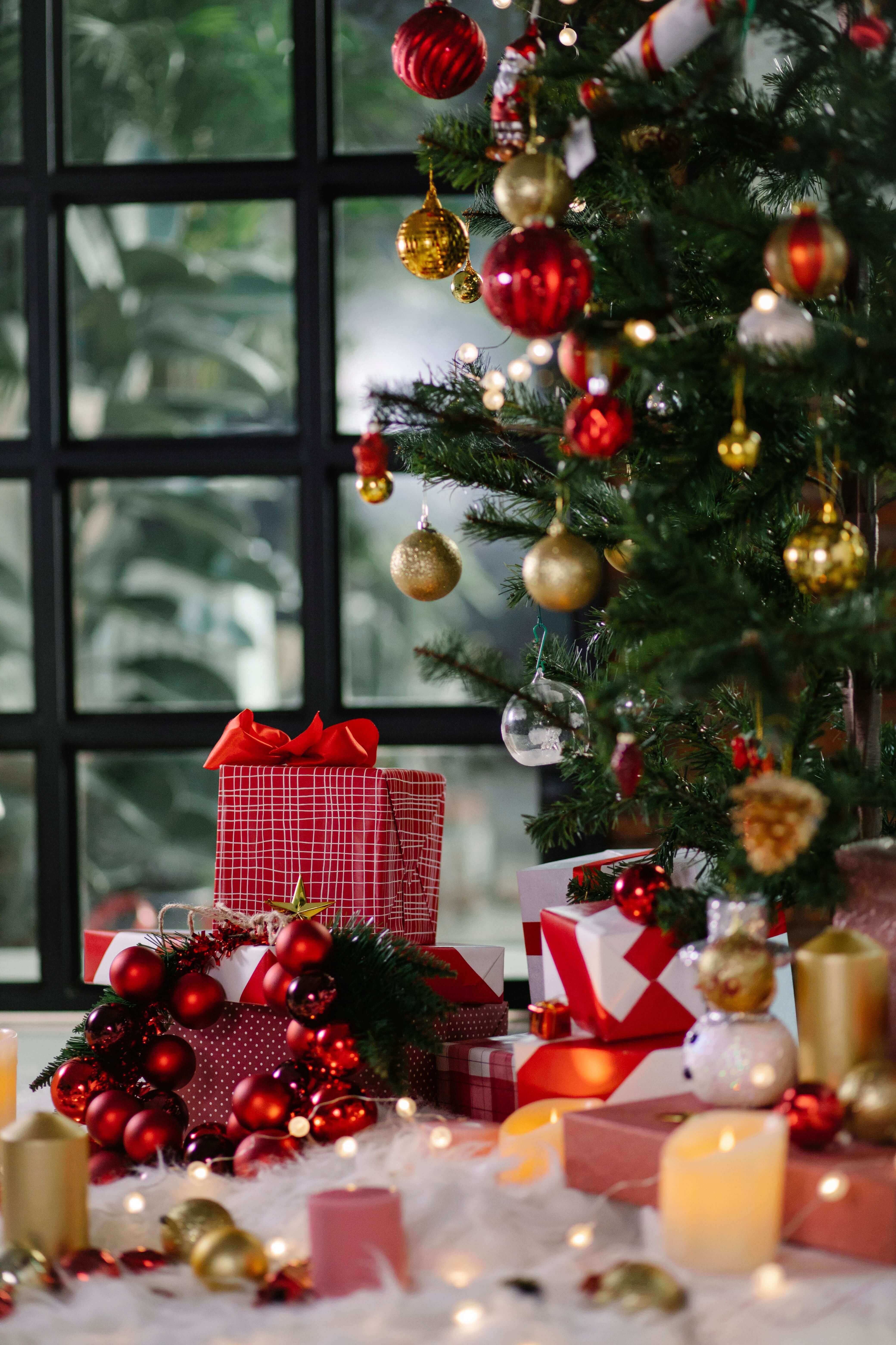 Ame la coloree - Sapin de noel